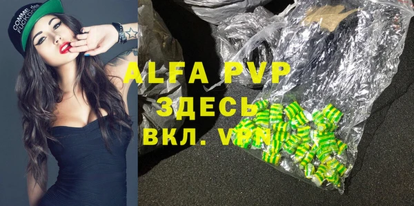 a pvp Новозыбков