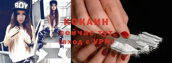 a pvp Новозыбков