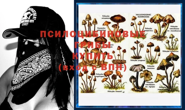 прущая мука Новокубанск