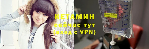 a pvp Новозыбков