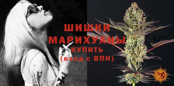 прущие грибы Анжеро-Судженск
