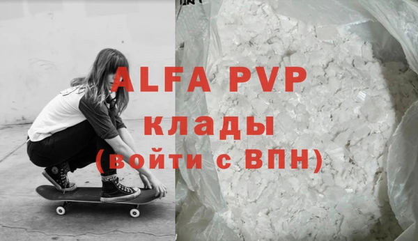 a pvp Новозыбков