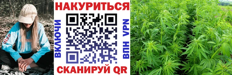 Бошки марихуана гибрид Новая Усмань